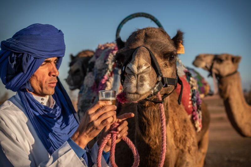 Agafay Desert: Quad Bike and Camel Ride Adventure Tour - An Honest Look at the Agafay Desert Tour