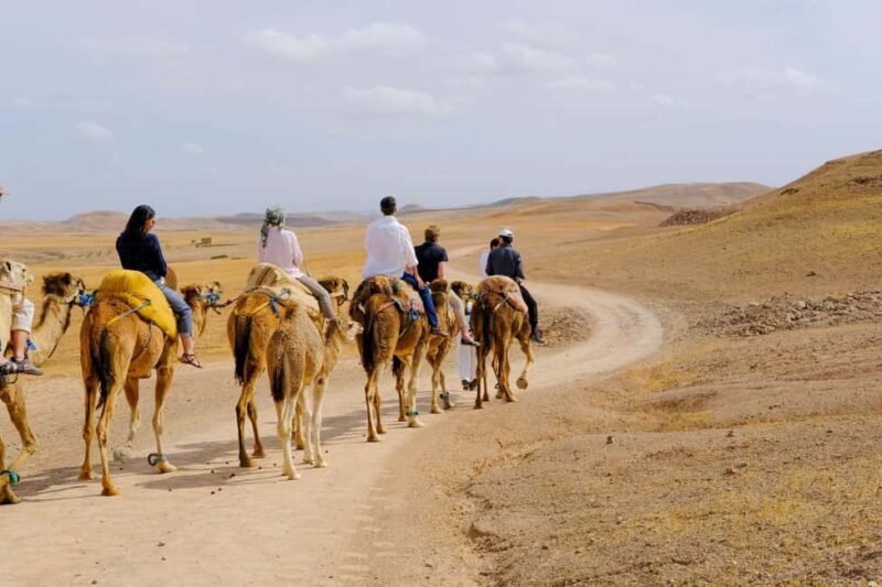 Agafay desert: quad bike and sun set camel ride with dinner - A Thorough Look at the Agafay Desert Tour
