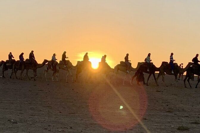 Agafay Desert: Quad Bike & Camel Ride & Magical Diner with Show - The Pickup and Transportation