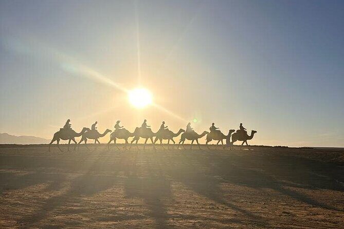 Agafay Desert: Quad Bike & Camel Ride & Magical Diner with Show - The Overall Experience and Practicalities