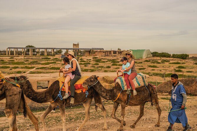 Agafay desert - Quad, camel, and dinner show - What Travelers Love About This Tour