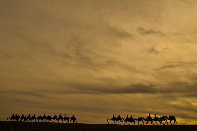 Agafay desert - Quad, camel, and dinner show - Final Thoughts: Who Will Enjoy This Experience?