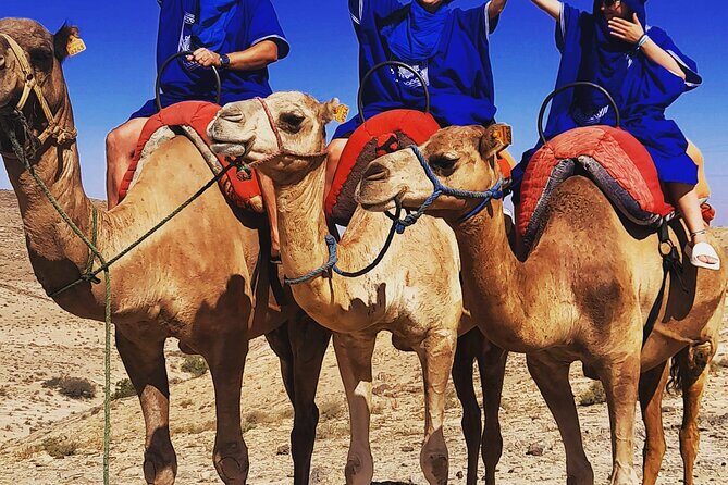 Agafay Desert Quad & Camel Tour with Dinner Show - Real Traveler Perspectives