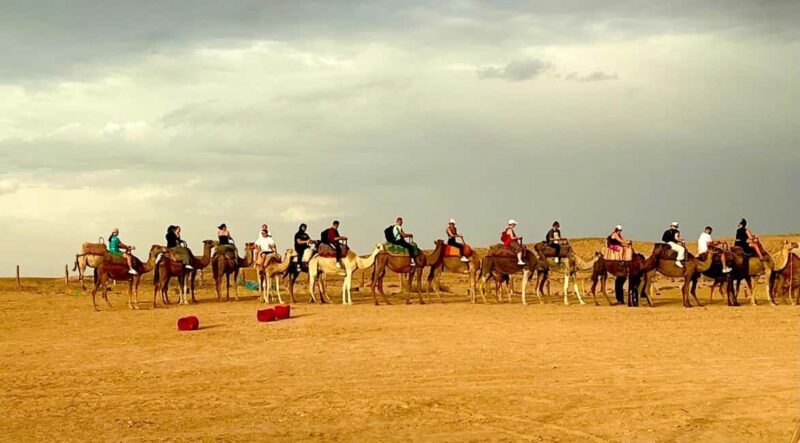 Agafay Desert : Quad Ride, Camel Experience & Dinner Show - Key Points