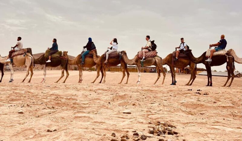 Agafay Desert : Quad Ride, Camel Experience & Dinner Show - The Details of Your Desert Day