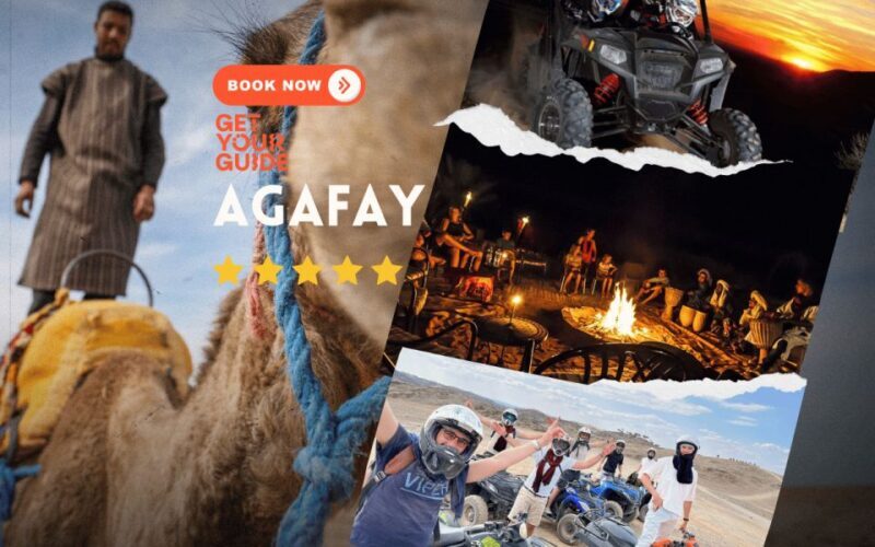 Agafay Desert: Sunset Camel, Quad Bike & Dinner Show - Key Points