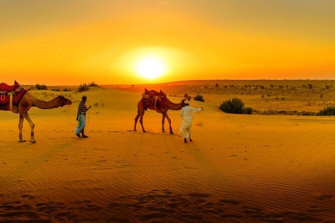 Agafay Desert Sunset, Camel Ride and Dinner from Marrakech - Value for Money