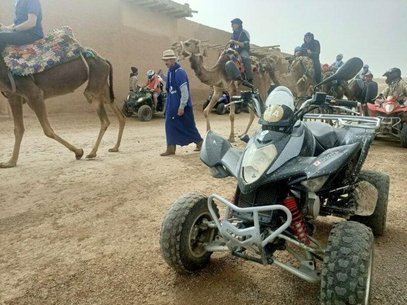 Agafay Desert Sunset Camel ride Experience with Dinner - What to Expect from the Tour