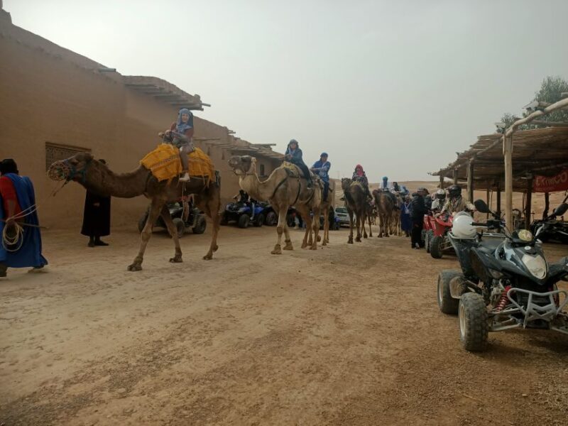 Agafay Desert Sunset Camel ride Experience with Dinner - Who Will Enjoy This Tour?