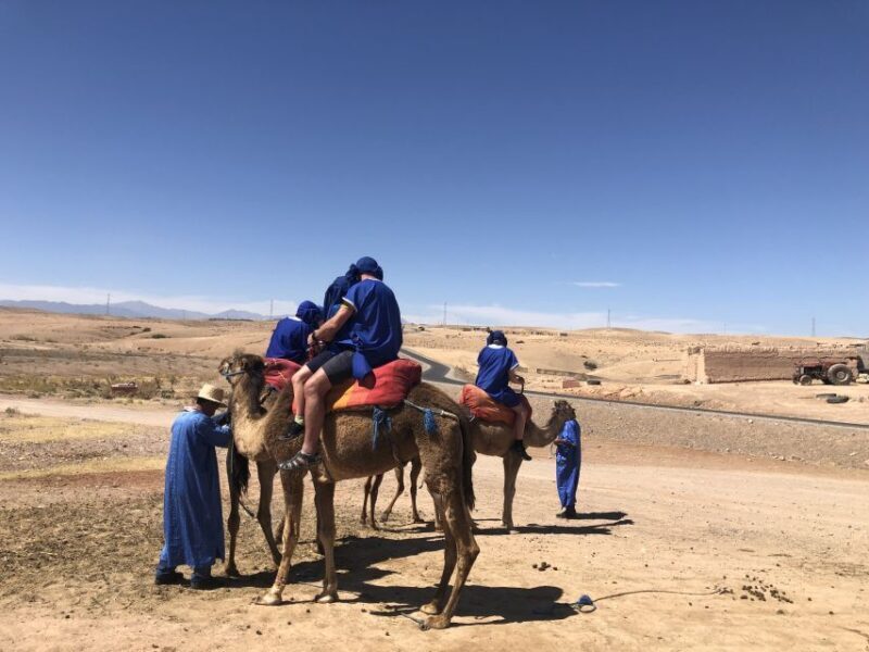 Agafay Desert Sunset Camel Ride - The Bottom Line: Who Should Consider This Tour?
