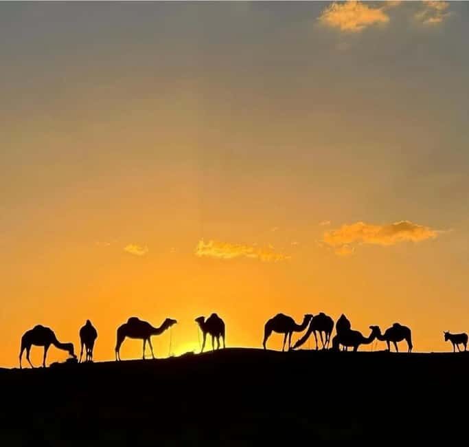 Agafay Desert: Sunset Camel Ride & Traditional Dinner - Sunset Views and Moroccan Sweets