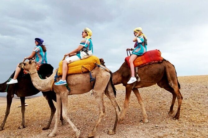 Agafay Desert Sunset Camel Ride with Dinner in Camp - A Full Breakdown of the Experience