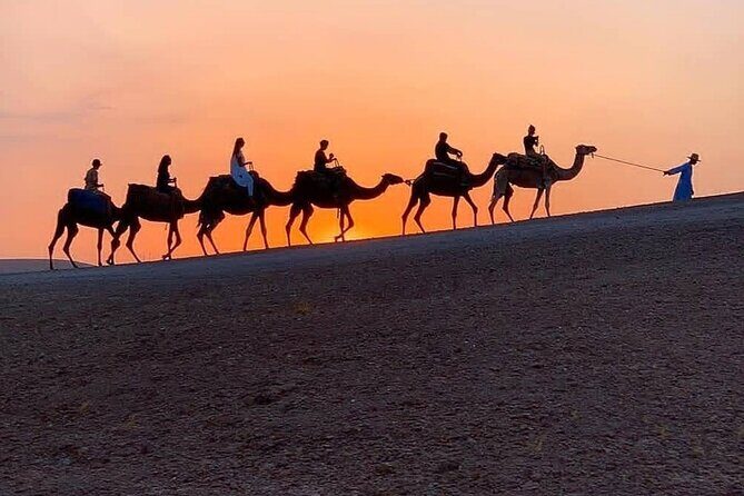 Agafay Desert Sunset Camel Ride with Dinner Show - The Sum Up