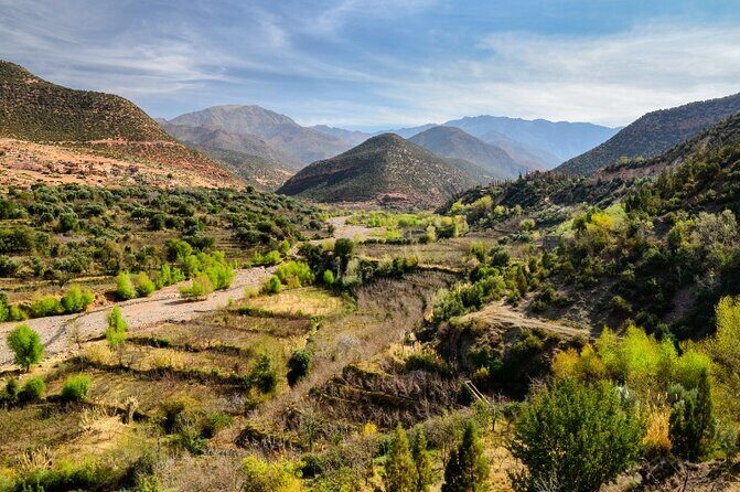 Agafay Desert Sunset Dinner Show starts from Marrakech - Who Should Consider This Tour?