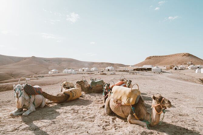 Agafay Desert: Sunset Quad Ride & Dinner Show Experience - FAQ
