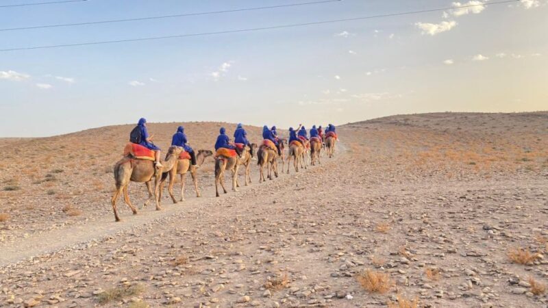 Agafay Desert Sunset Tour with Camel Ride ,Dinner and Show - Who Should Consider This Tour?