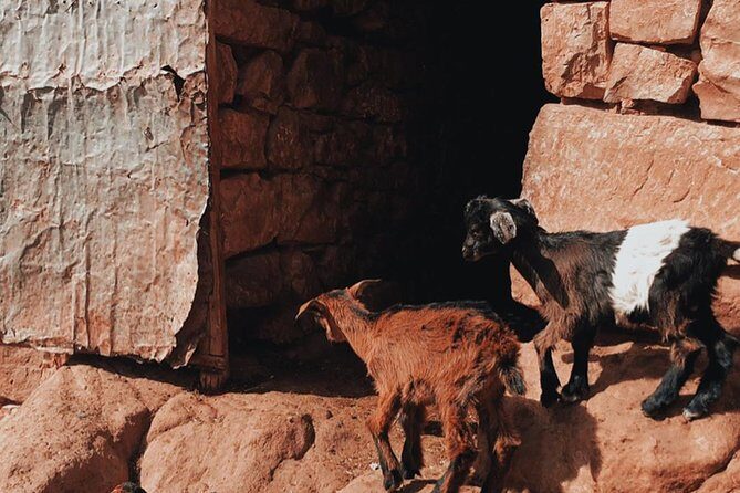 Agafay Desert: Three Valley Guided Tour From Marrakech - The Sum Up