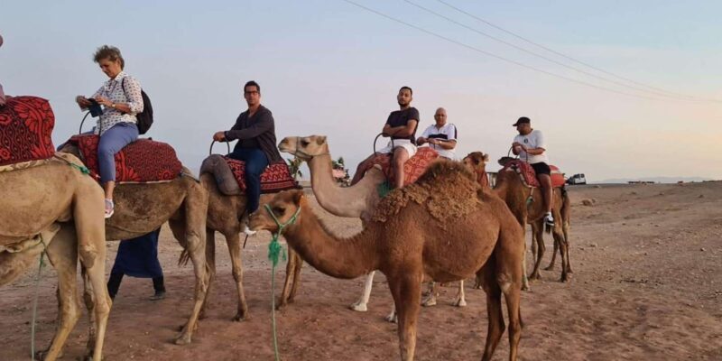 Agafay Desert Tour Adventure from Marrakech - FAQ