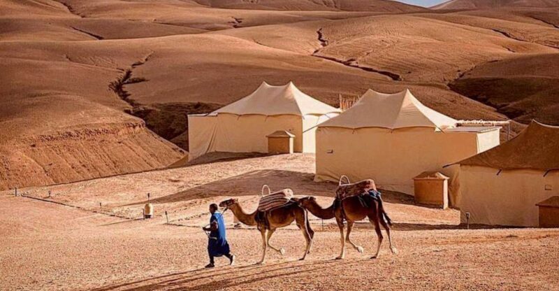 Agafay Desert Tour from Marrakech With Sunset Pause - Who Should Consider This Tour?