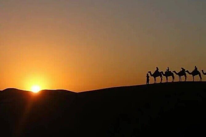 Agafay Escape: Camel Ride, Fire Show & Dinner Under Stars - FAQs
