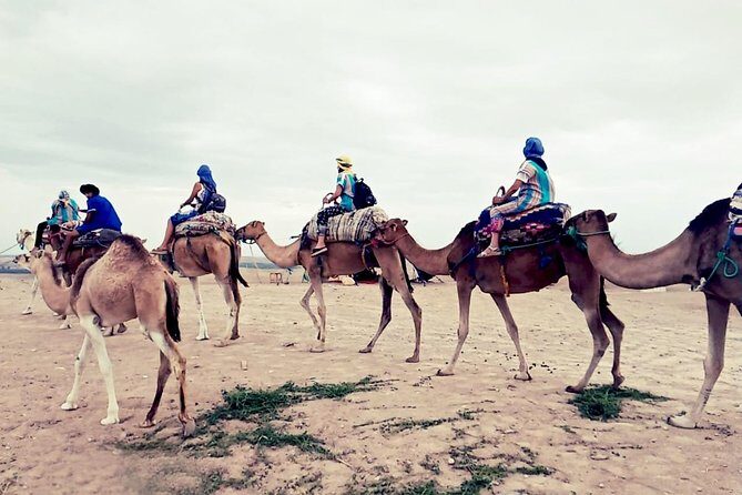 Agafay Half Day Rocky Desert Experience Quad Bike & Camel Ride - FAQ