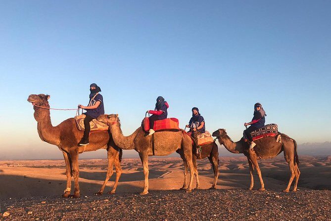 AGAFAY Historical Desert Dinner Sunset Camel Ride Hotel Transfer - What’s Included & What’s Not