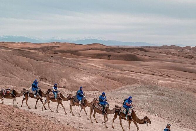 Agafay Magical Dinner with camel ride - FAQs