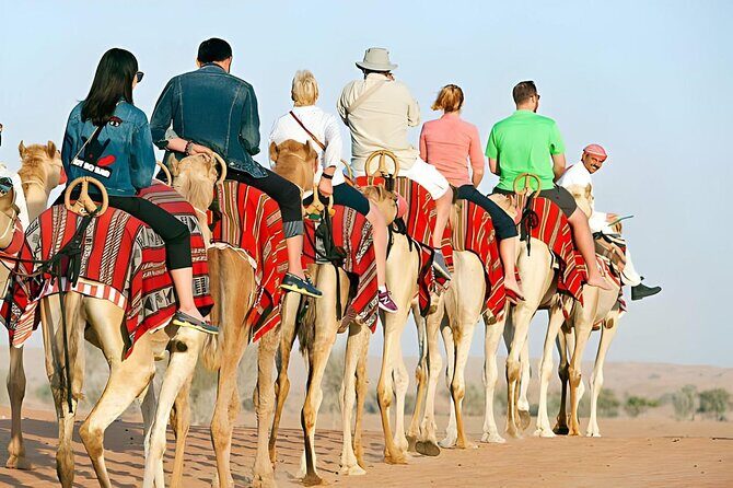 Agafay Quad Bike, camel ride, sunset, dinner & show - The Experience of the Activities