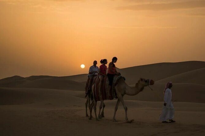 Agafay Quad Bike, camel ride, sunset, dinner & show - Who Should Consider This Tour?