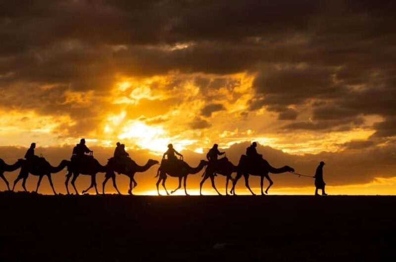Agafay: Quad, Camel Ride & Dinner Show from Marrakech - A Closer Look at the Marrakech Agafay Experience