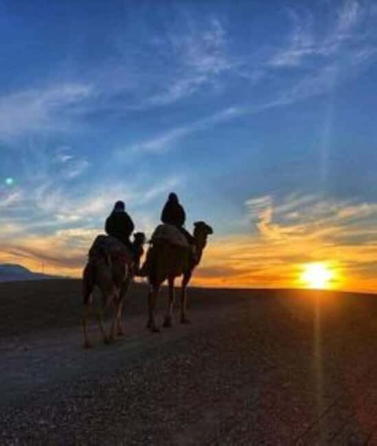 Agafay: Quad, Camel Ride & Dinner Show from Marrakech - Why This Tour Works Well