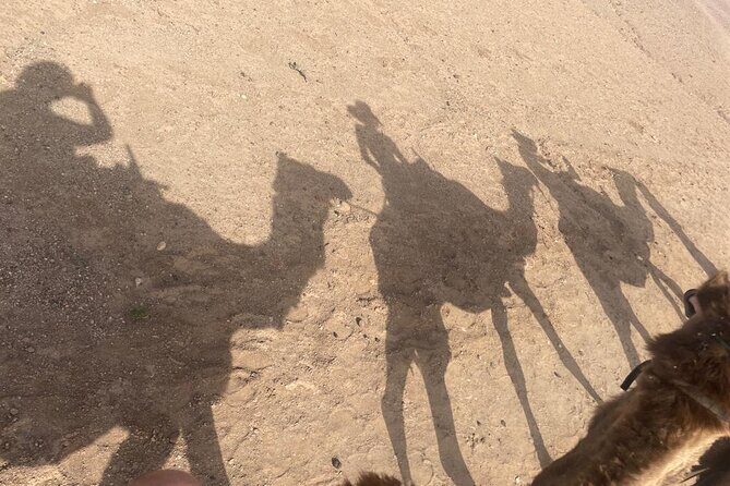 Agafay Sunset Trip: Quad + Camel + Dinner in Agafay - Authenticity and Reviews from Fellow Travelers