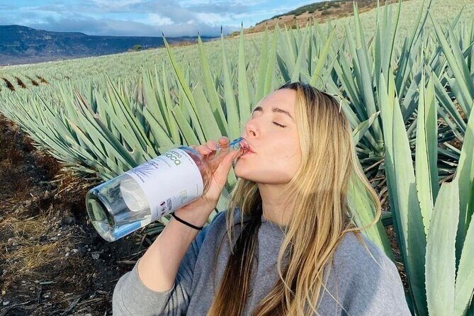 Agave Adventures Mexico - Key Points