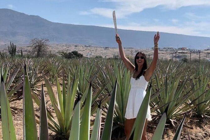 Agave Adventures Mexico - A Closer Look at the Tour Experience