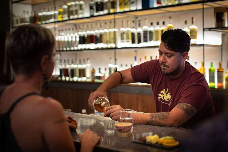 Agave Spirits Experience - Final Thoughts: Why You Should Try It