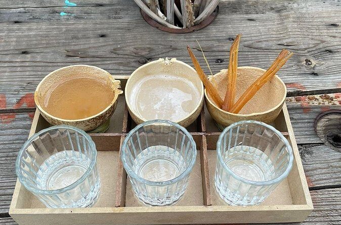 Agave Tasting Journey from Pulque to Mezcal - FAQ: Your Practical Questions Answered