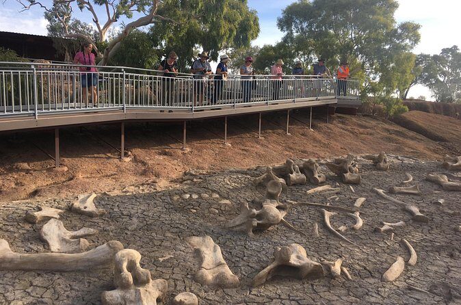 Age of Dinosaurs Museum Half Day Guided Transfer from Winton - FAQ
