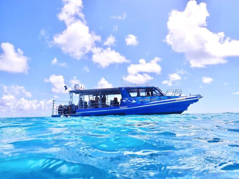 Agnes/1770: Southern Great Barrier Reef Scuba Diving Trip - Key Points