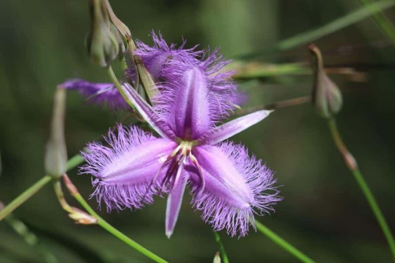 Agnes Water: BushTracks Eco Tour with local guide - Final Thoughts