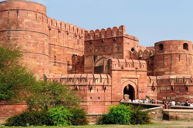 Agra Local Tour with Taj Mahal - What the Reviews Say