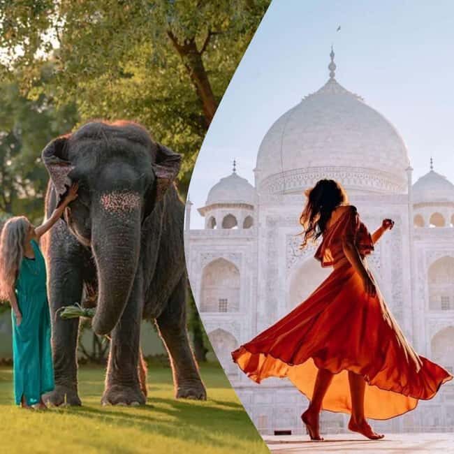 Agra: Skip the Line Taj Mahal & Elephant SOS Tour with Lunch - Key Points
