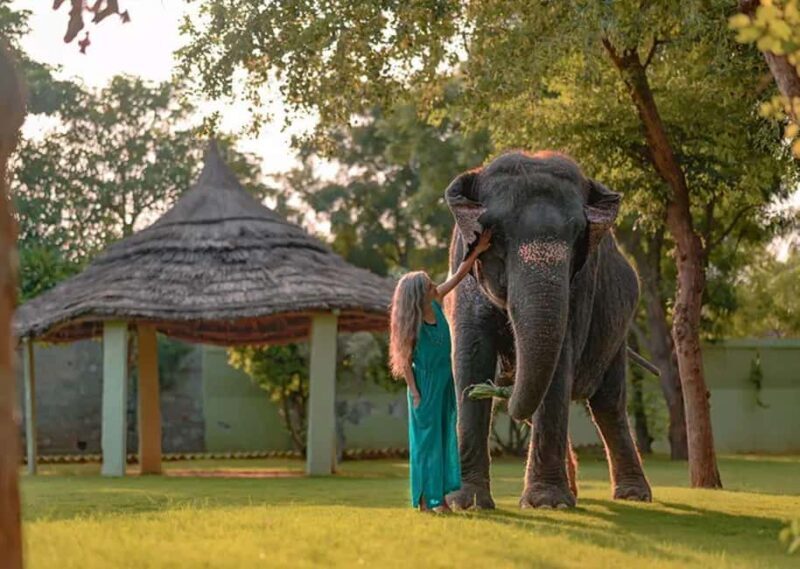 Agra: Skip the Line Taj Mahal & Elephant SOS Tour with Lunch - Who Should Consider This Tour?