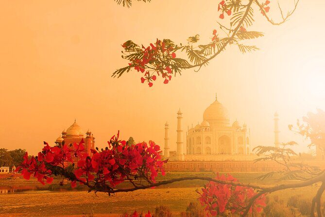 Agra: Skip the Line Ticket to Taj Mahal with Guided Tour - Who Is This Tour Best For?