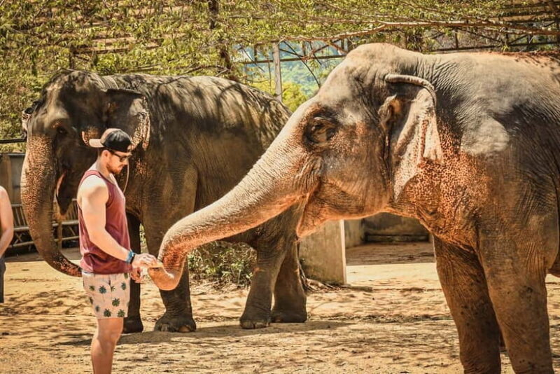 Agra: Sunrise Taj Mahal, Agra Fort & Wildlife SOS Tour - Who is this tour best suited for?