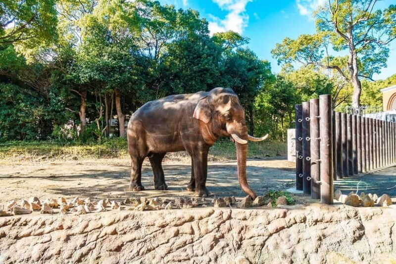 Agra: Taj Mahal Sunrise Tour with Elephant Sanctuary - Practical Tips for Travelers