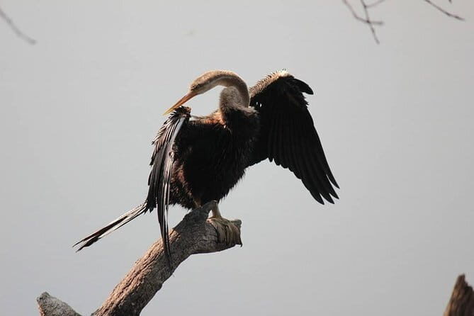 Agra To Bharatpur Same Day Tour with Fatehpur Sikri - Key Points