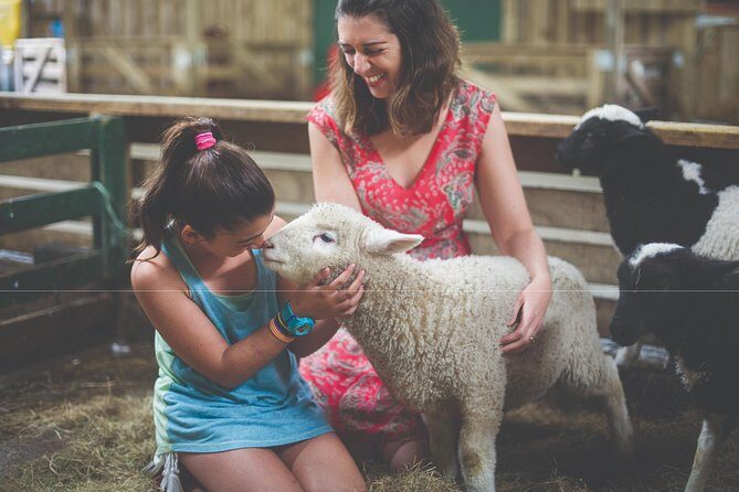 Agrodome Farm Experience including Farm Show and Farm Tour - Rotorua - The Sum Up