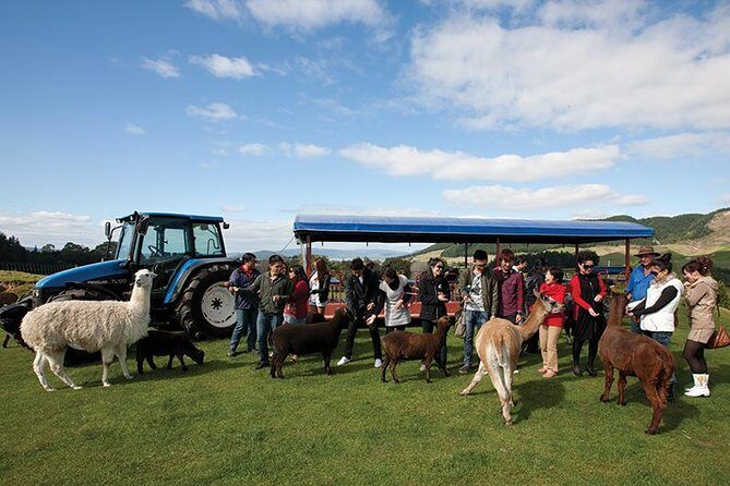 Agrodome Farm Experience including Farm Show and Farm Tour - Rotorua - FAQ