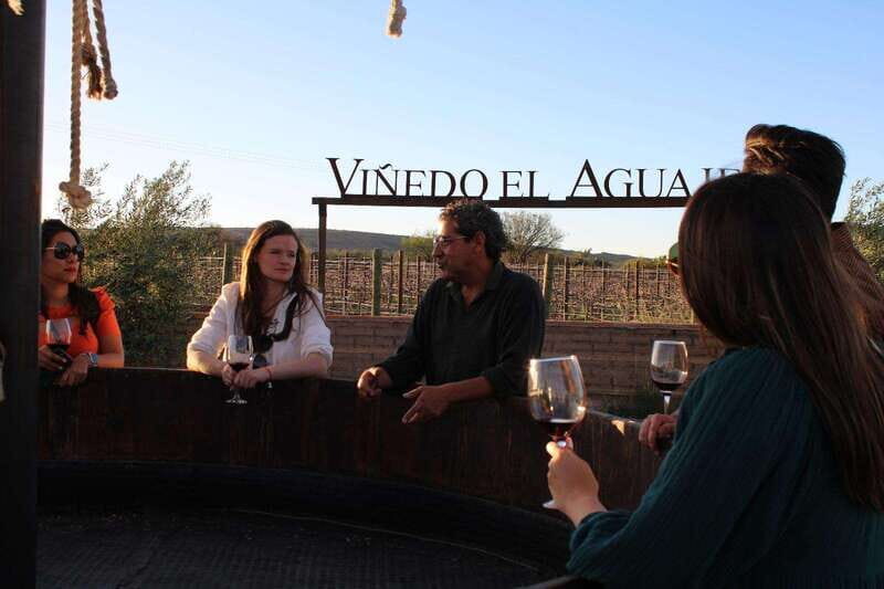 Aguascalientes: Magical Town and Winery Tour - Discovering the Charm of Asientos