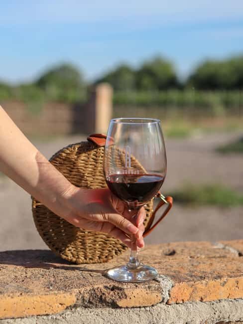 Aguascalientes: Magical Town and Winery Tour - The Practicalities